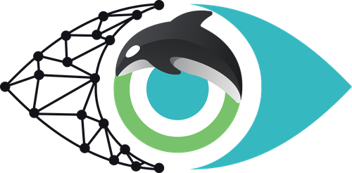 Orca AI